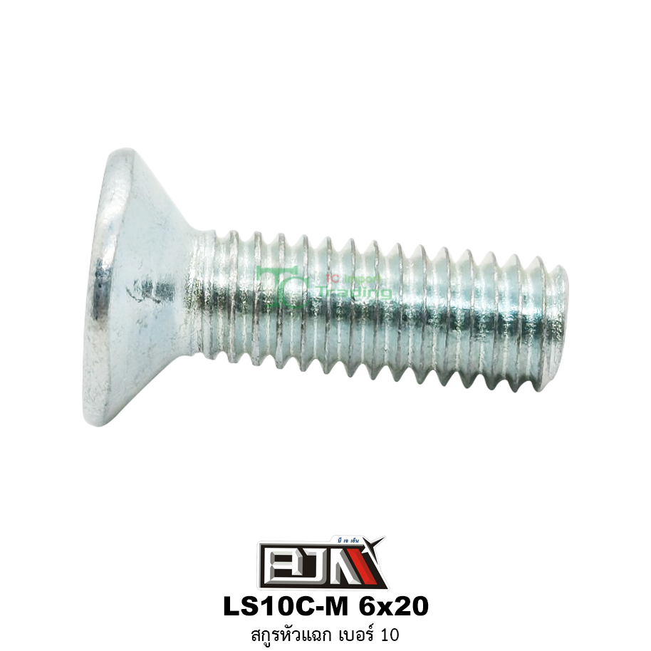 LS10C-M 6x20 สกูรหัวแฉก เบอร์ 10 ( 1 ถุงมี 50 ตัว )