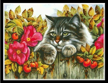 Rose from cat (พิมพ์ลาย)
