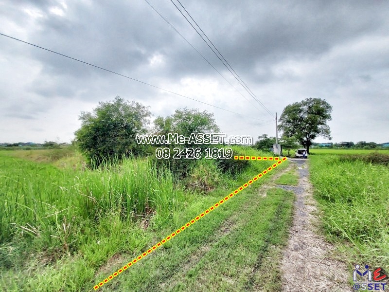 ขายที่ดินเปล่า ย่าน สุวินทวงศ์ มีนบุรี หนองจอก ฉลองกรุง นิมิตรใหม่ : ใกล้ รร.วังเล็กวิทยานุสรณ์ : 126 ตร.วา