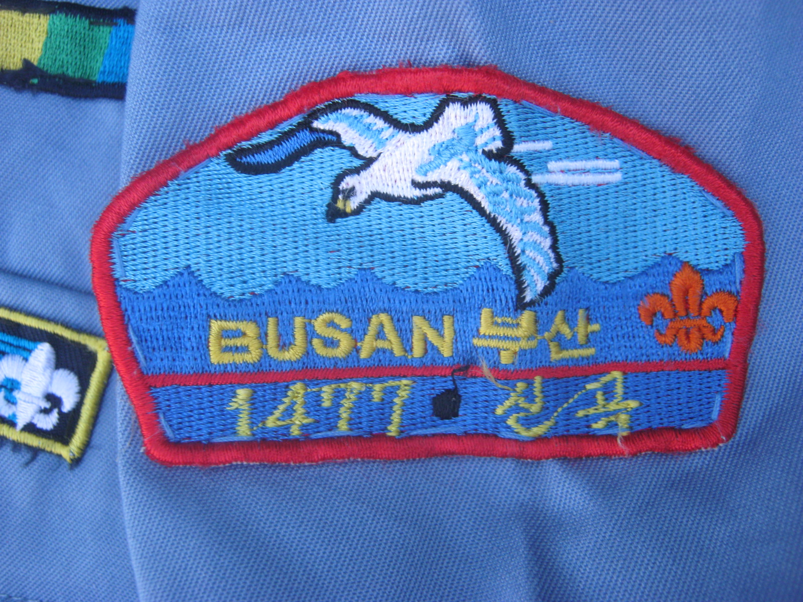 เสื้อลูกเสือเกาหลีใต้ ระดับประถม