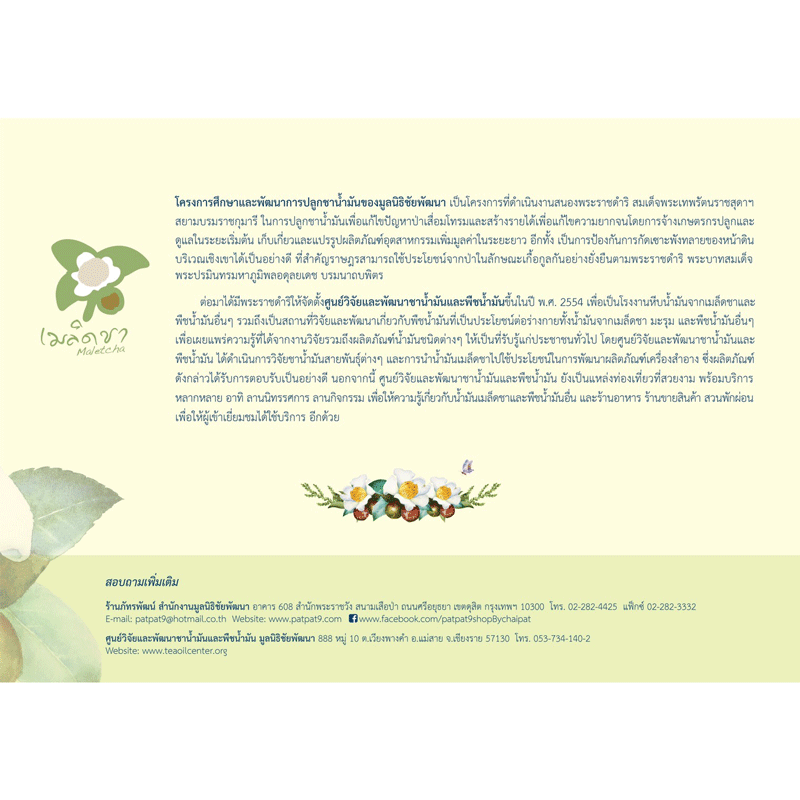 Exp.19/02/2026 Body oil น้ำมันเมล็ดคามีเลีย กลิ่นดอกหอมหมื่นลี้