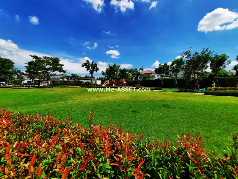 ขายบ้านเดี่ยวรีโนเวทใหม่ ย่าน ศาลายา ศาลากลาง สำเร็จพัฒนา ศรีประวัติ บางกรวย : ม.อินนิซิโอ 2 ปิ่นเกล้า-วงแหวน : 2 ชั้น 50 ตร.วา