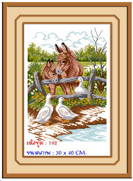 DONKEYS AND DUCKS