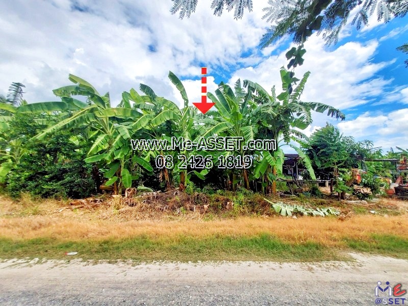 ขายที่ดินถมแล้ว โซนสวนหลวง กระทุ่มแบน เชื่อมเอกชัย บางบอน ใกล้นิคมอุตสาหกรรมสมุทรสาคร โรงงานซีพีเอฟ วัดศรีนวลธรรมวิมล : ซอยทองหลาง1 ใกล้บ้านทรัพย์ธำรงค์สวนวาสนา : 100 ตร.วา