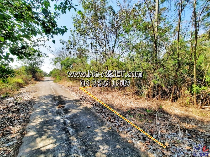 ขายที่ดินเปล่า ย่าน คลอง13 หนองงูเหลือม หนองสามวัง หนองเสือ ปทุมธานี : ใกล้ไพลินพันธุ์ไม้ ซ.อู่ช่างลี : 150 ตร.วา