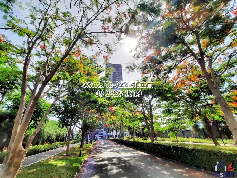 ขายและเช่า คอนโด ริมแม่น้ำ ย่าน สุขสวัสดิ์ พระประแดง ทุ่งครุ ราษฏร์บูรณะ พระราม 3 : แชปเตอร์วัน Chapter One : 29.69 ตร.เมตร