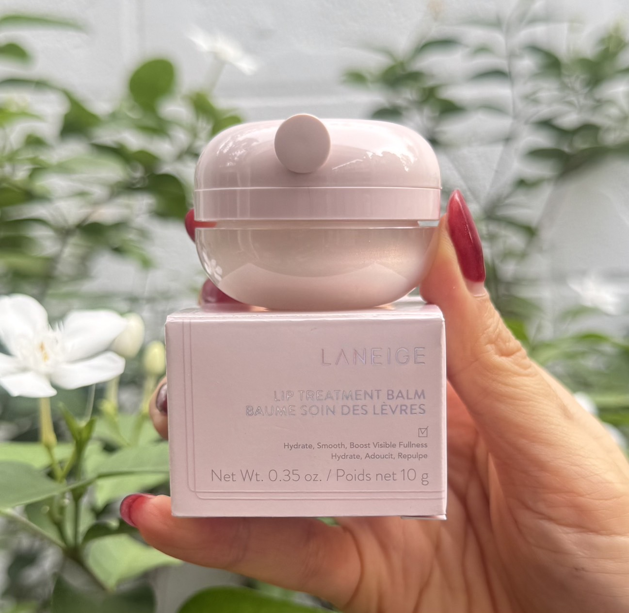Laneige Lip Treatment Balm 10g. ลิปทรีทเมนต์