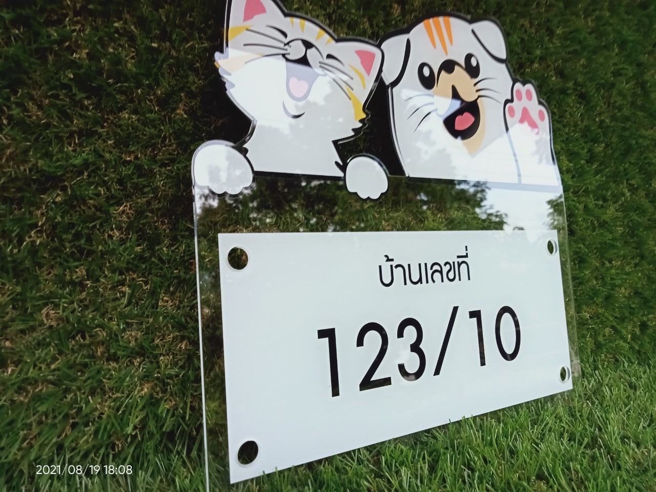 ป้ายสกีน