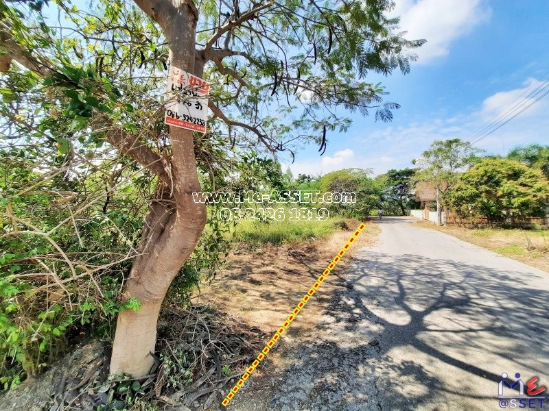 ขายที่ดินถมแล้ว ย่าน ปึกเตียน ชะอำ เจ้าสำราญ คลองโคน ท่ายาง เพชรบุรี : บางชองมารีน่า ชะอำ : 176 ตารางวา