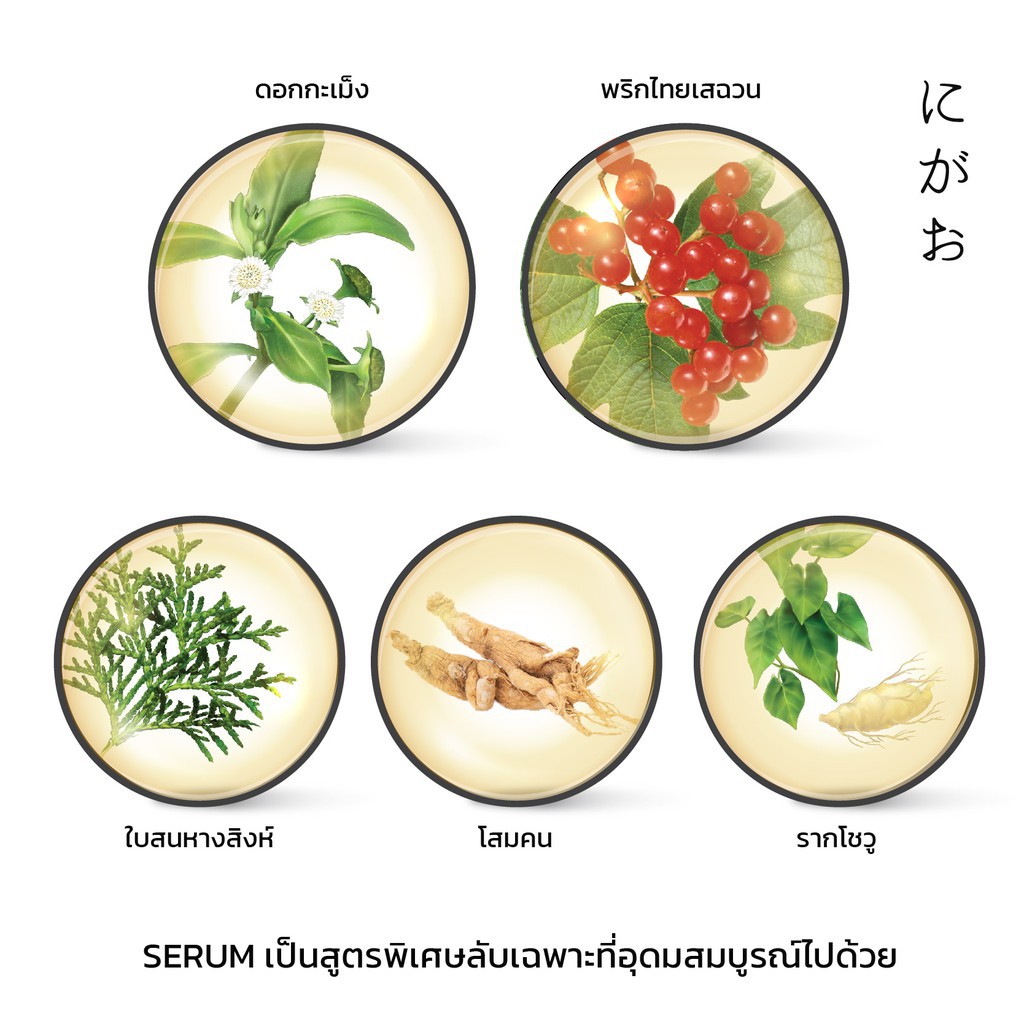 แท้พร้อมส่ง‣ Nigao Anit Hair Loss Herbal Serum 50ml นิกาโอะ แอนตี้ แฮร์ลอส เฮอร์บัล เซรั่ม ป้องกันผมร่วง