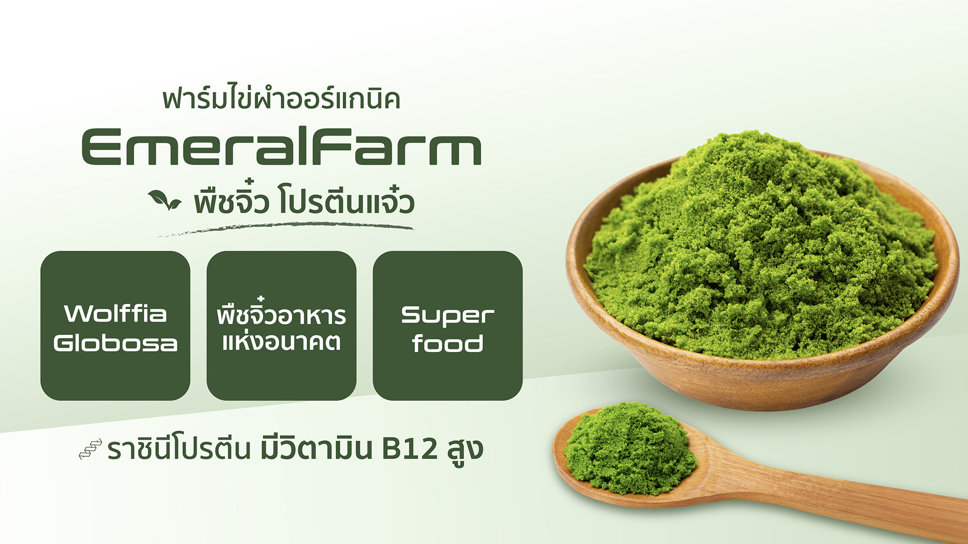 EmeralFarm