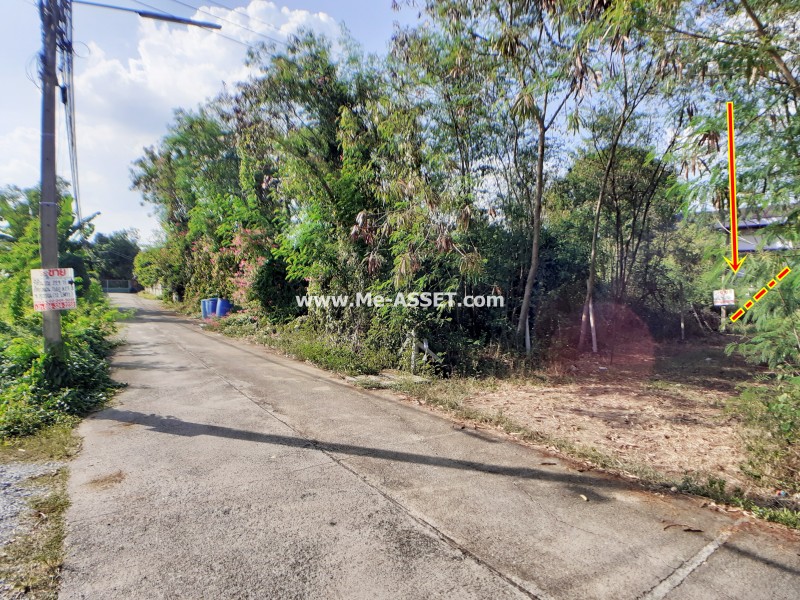 ขายที่ดินถมแล้ว ถ.นครชัยศรี-ห้วยพลู ซ.สุวรรณ ต.วัดแค อ.นครชัยศรี นครปฐม / พื้นที่ 229 ตารางวา