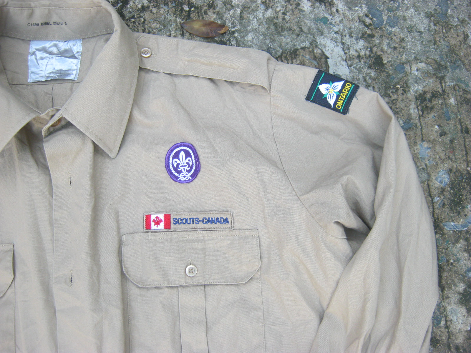 เสื้อลุกเสือ แคนนาดา