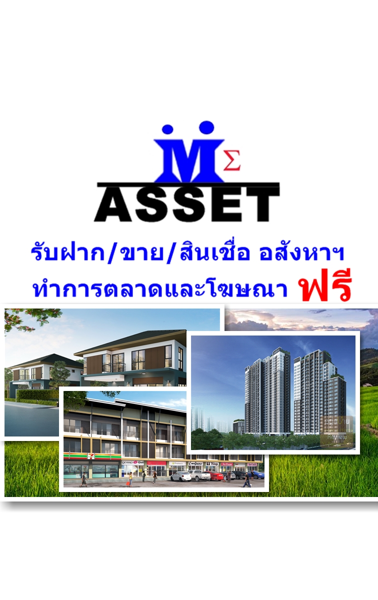 ME-Asset
