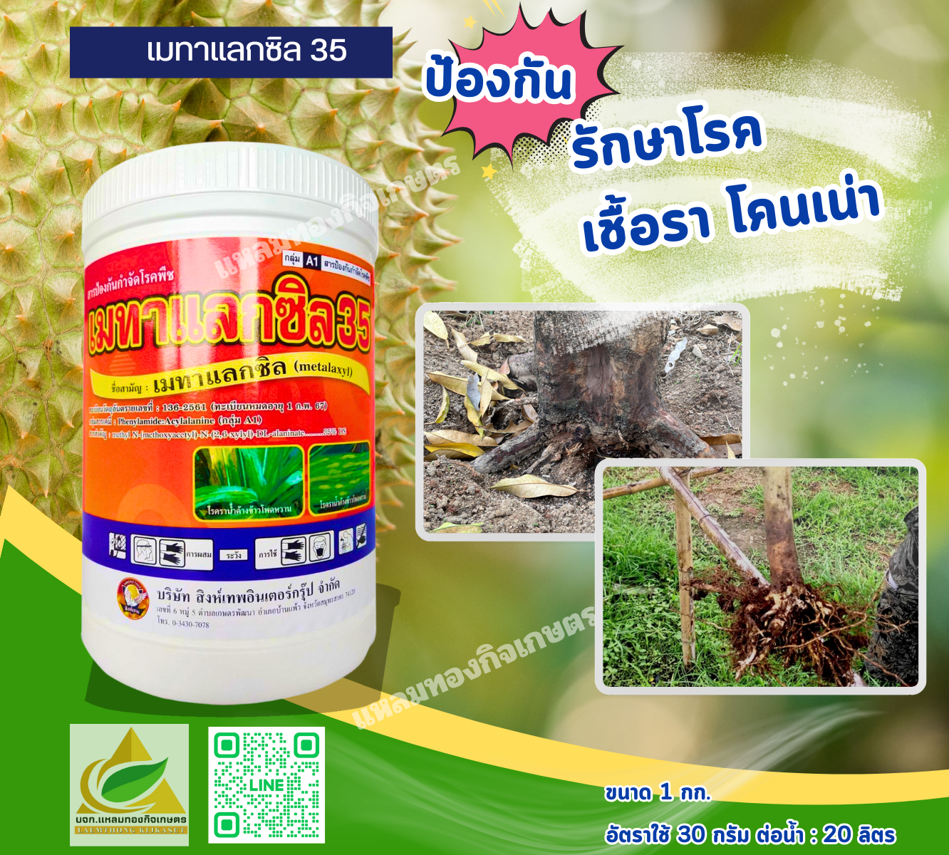 เมทาแลกซิล สารป้องกันกำจัดโรคพืช โรคโคนเน่า รากเน่า ตราสิงห์เทพ 1000 กรัม