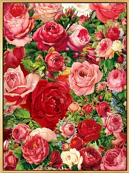 Rose (พิมพ์ลาย)