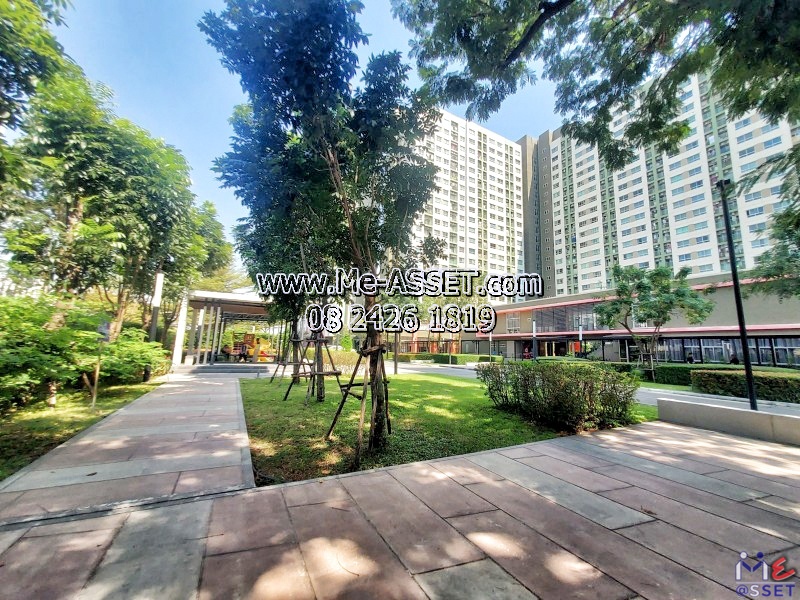 ขายและเช่า คอนโดใกล้รถไฟฟ้า ย่าน บางแค หลักสอง หนองแขม : ลุมพินีพาร์ค เพชรเกษม98 Lumpini Park Phetkasem 98 : 26.06 ตร.เมตร