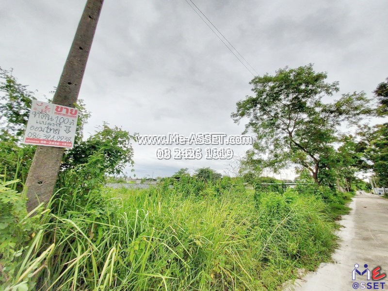 ขายที่ดินเปล่า ย่าน สามพราน ไร่ขิง นครชัยศรี บรมราชชนนี : ออมไทย : 100 ตร.วา