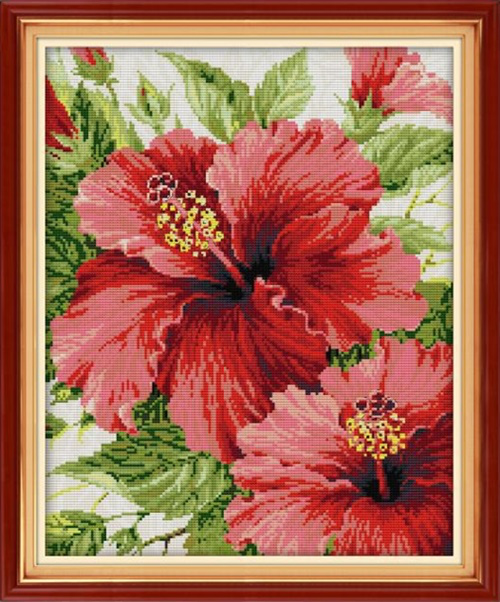 Red hibiscus ชบาแดง (ไม่พิมพ์/พิมพ์ลาย)