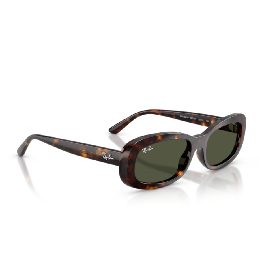 RAYBAN RB2221F 902/31 55
