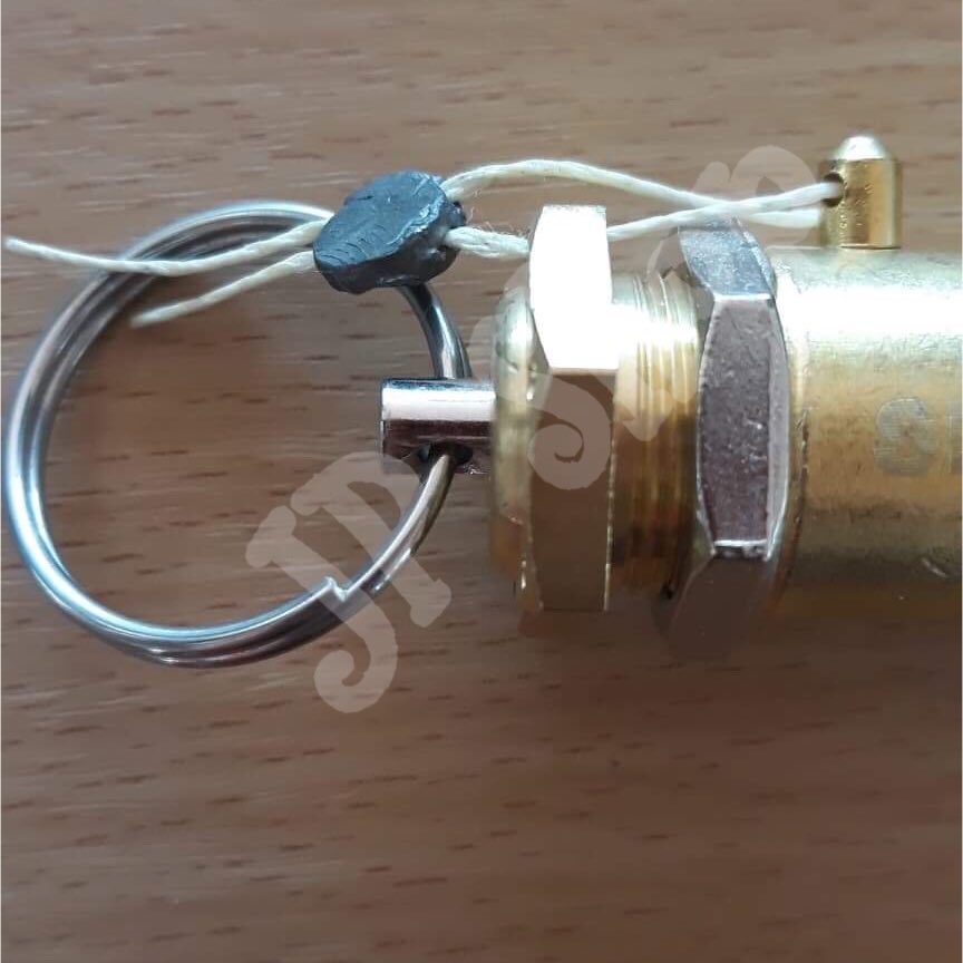 เซฟตี้วาล์ว โปโลลม ปั๊มลม เกลียวนอกNPT 4 หุน (1/2") ทองเหลือง รับแรงดันสูงสุถ9บาร์ ตัดรอบส่งทุกๆชั่วโมง #1025