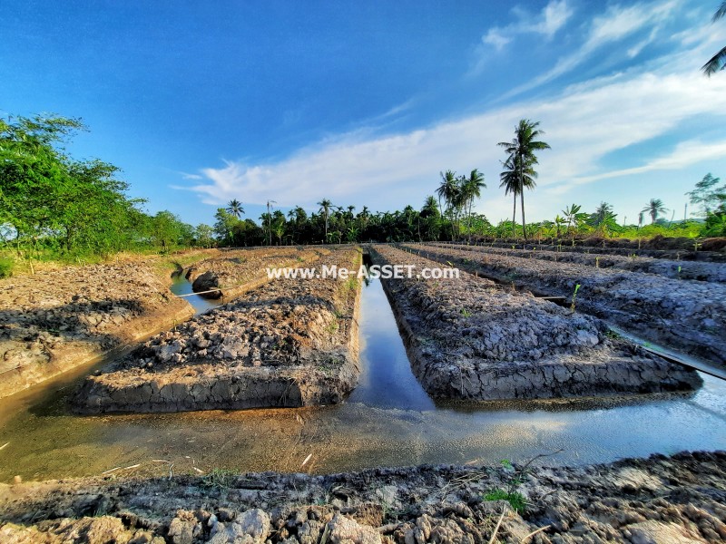 ขายที่ดินเปล่า ถ.ศาลายา-นครชัยศรี ซ.เลียบคลองงิ้วราย ต.งิ้วราย อ.นครชัยศรี นครปฐม ใกล้ อบต.งิ้วราย / พื้นที่ 2-2-81 ไร่