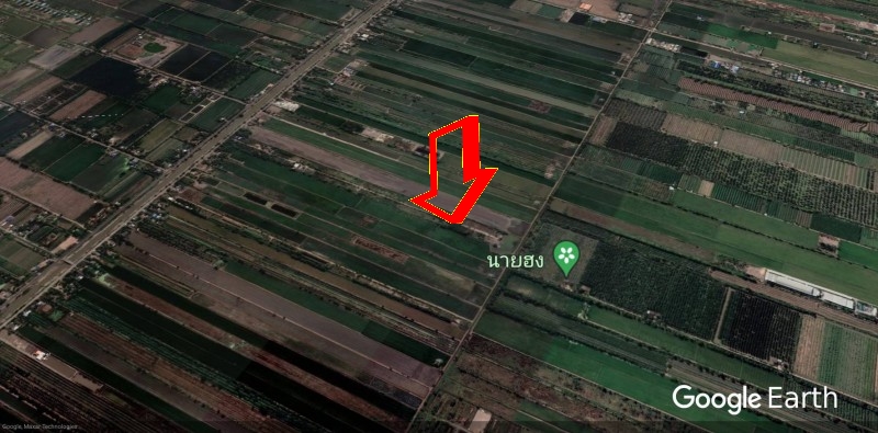 ขายที่ดินเปล่า ย่าน คลอง13 หนองงูเหลือม หนองสามวัง หนองเสือ ปทุมธานี : ใกล้ไพลินพันธุ์ไม้ ซ.อู่ช่างลี : 150 ตร.วา