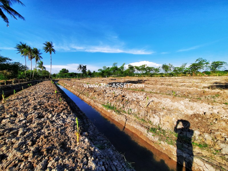 ขายที่ดินเปล่า ถ.ศาลายา-นครชัยศรี ซ.เลียบคลองงิ้วราย ต.งิ้วราย อ.นครชัยศรี นครปฐม ใกล้ อบต.งิ้วราย / พื้นที่ 2-2-81 ไร่
