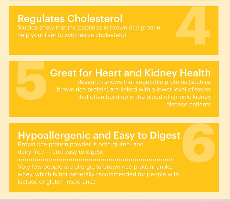 ผงโปรตีนข้าวกล้อง ออร์แกนิค PLANT-BASED สร้างกล้ามเนื้อ ขนาด 270 กรัม ยี่ห้อ Feaga Life