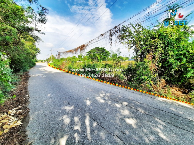 ขายที่ดินเปล่า ติดคลองบางแก้ว ย่าน พะเนียด ห้วยตะโก นครชัยศรี นครปฐม : 2-3-43 ไร่