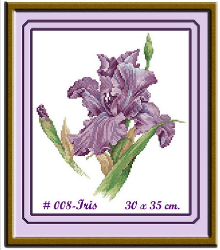 IRIS