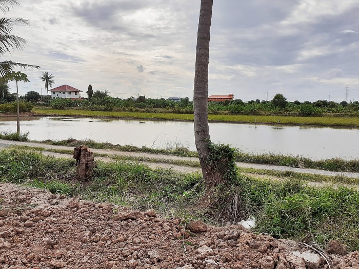 ขายที่ดินถมแล้ว ถ.บ้านกล้วย-ไทรน้อย ต.ไทรน้อย อ.ไทรน้อย นนทบุรี / พื้นที่ 100 ตารางวา