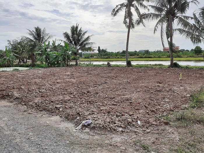 ขายที่ดินถมแล้ว ถ.บ้านกล้วย-ไทรน้อย ต.ไทรน้อย อ.ไทรน้อย นนทบุรี / พื้นที่ 100 ตารางวา