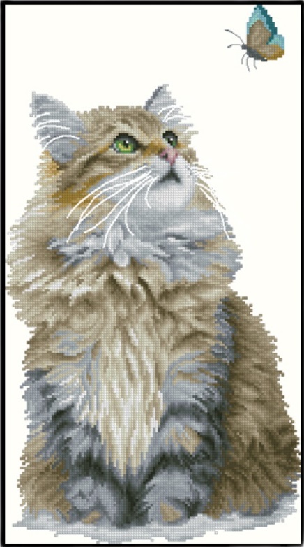 Cute cat and butterfly (พิมพ์ลาย)