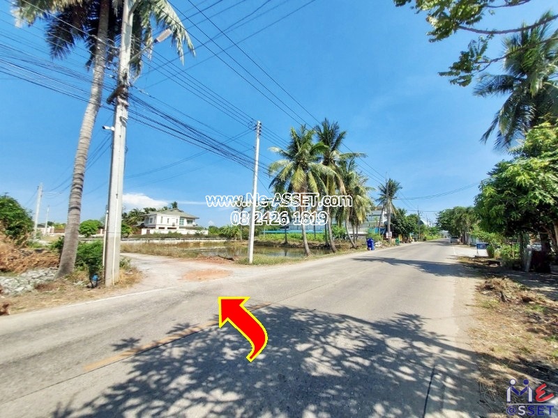 ขายที่ดินเปล่า ย่าน มหาสวัสดิ์ ศาลายา ลานตากฟ้า ดาวทอง บ้านศาลาดิน : ใกล้ อบต.ศาลายา, รร.อนุบาลเอื้อเพชร : 1 ไร่