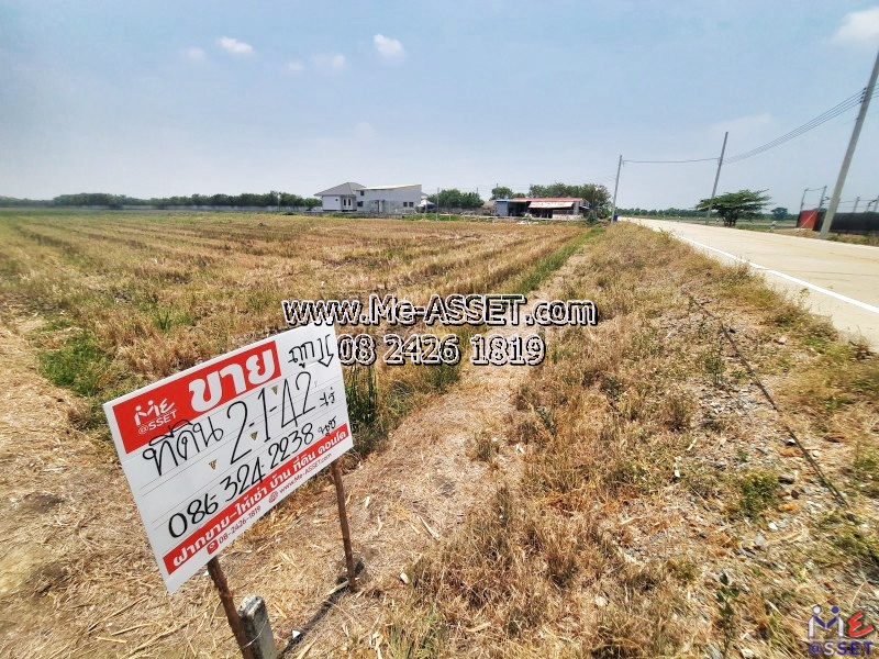 ขายที่ดินติดถนนคอนกรีต ย่าน อบต.ทวีวัฒนา ไทรน้อย บางกรวย บ้านกล้วย-ไทรน้อย นนทบุรี : ใกล้วัดคลองเจ้า : 2-1-42 ไร่