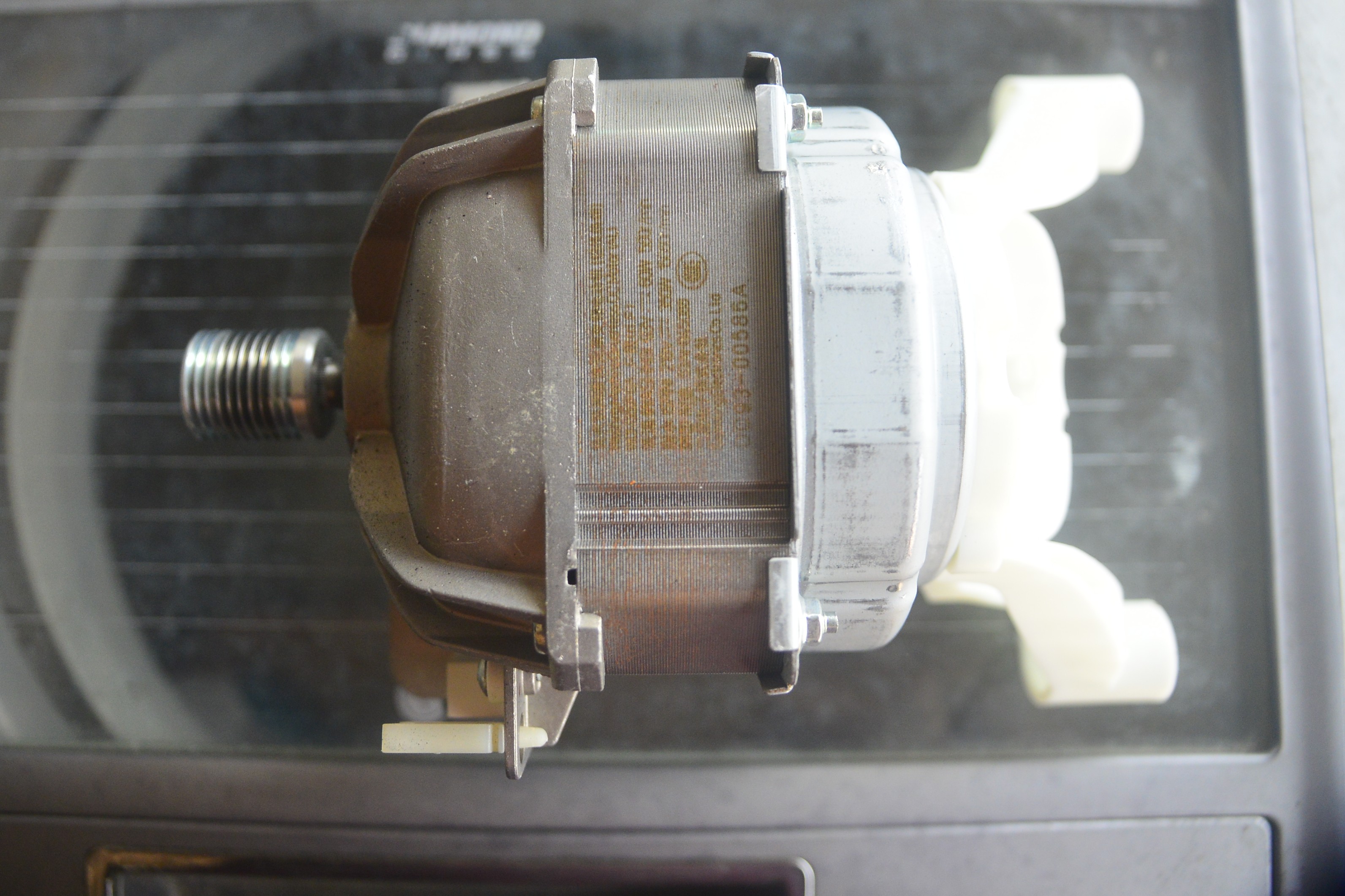 มอเตอร์บัสเลส