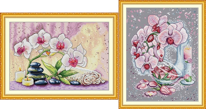 Phalaenopsis (ไม่พิมพ์/พิมพ์ลาย)