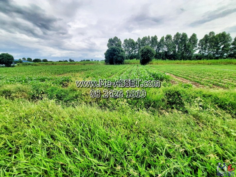 ขายที่ดินเปล่า ย่าน เลียบคลองชลประทาน ม่วงตารศ ห้วยขวาง กำแพงแสน นครปฐม : ใกล้บ้านสวนชมจันทร์ และชวาลันรีสอร์ท : 4 ไร่