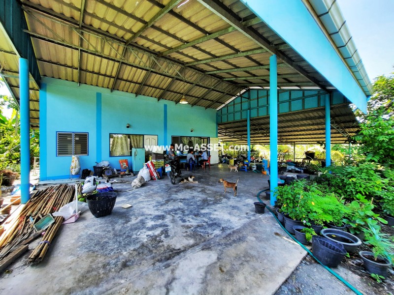 ขายที่ดินเกษตร สวนผสม ถ.บ้านวังนกไข่ ต.หนองนกไข่ อ.กระทุ่มแบน สมุทรสาคร / พื้นที่ 9-1-53 ไร่