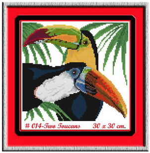 TWO TOUCANS