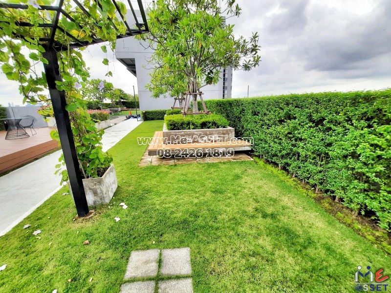 ขายและเช่า คอนโด ใกล้รถไฟฟ้า ย่าน วงศ์สว่าง บางซื่อ บางซ่อน : แอสปาย รัชดา-วงศ์สว่าง : 26.12 ตารางเมตร