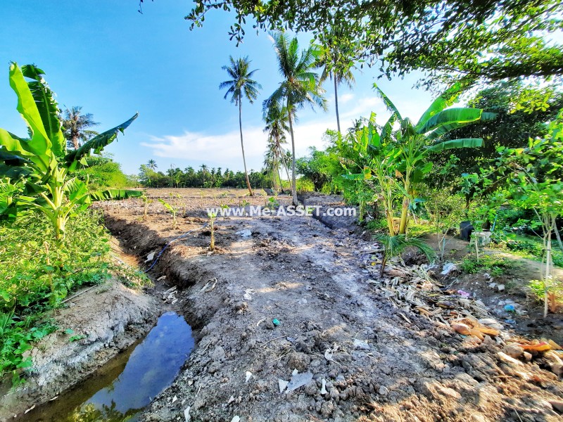 ขายที่ดินเปล่า ถ.ศาลายา-นครชัยศรี ซ.เลียบคลองงิ้วราย ต.งิ้วราย อ.นครชัยศรี นครปฐม ใกล้ อบต.งิ้วราย / พื้นที่ 2-2-81 ไร่