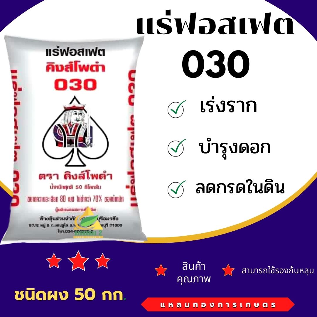 030 คิงส์โพดำ