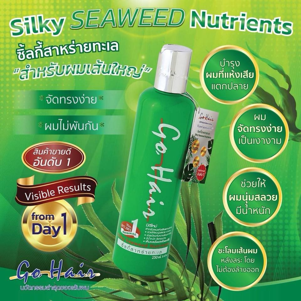 แท้พร้อมส่ง‣ Go Hair Silky Seaweed Nutrients Hair Nourishing Cream 250ml อาหารผม โกแฮร์ ซิลกี้สาหร่าย