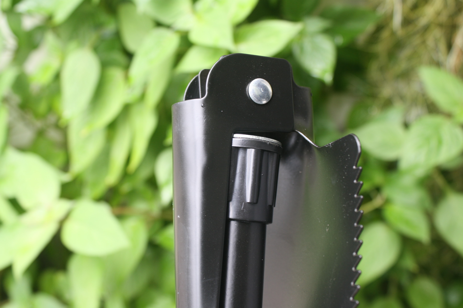 พลั่วเดินป่า