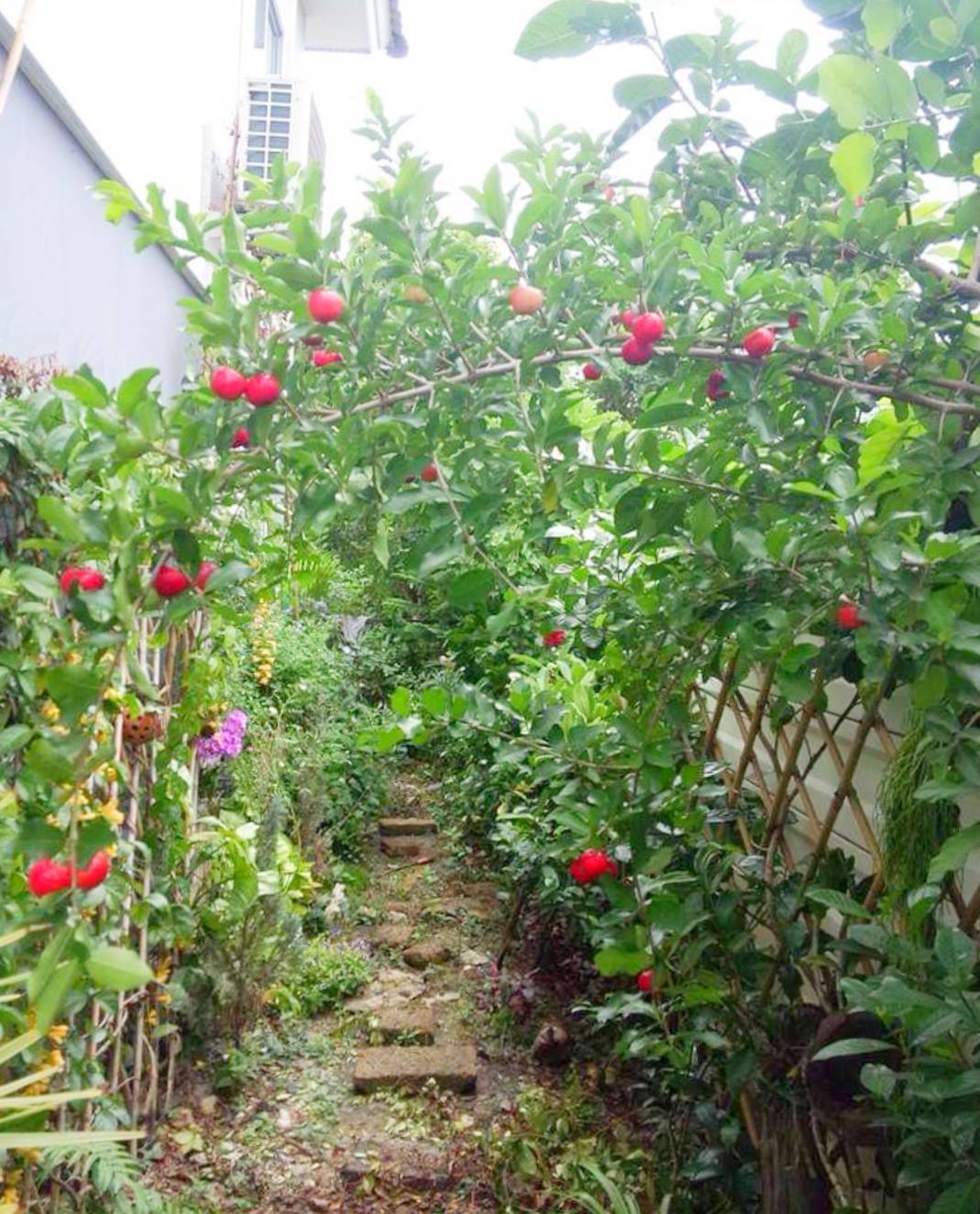 ขายทาวน์โฮม ม.พฤกษาวิลล์ 44 บรมราชชนนี-ปิ่นเกล้า 3 นอน 2 น้ำ ใกล้ศาลายา