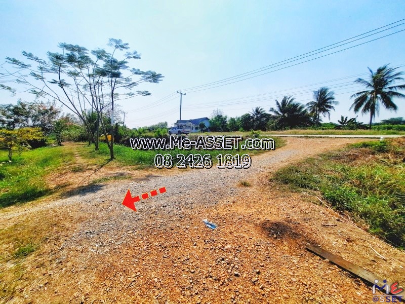 ขายที่ดินเปล่า ย่าน วัดละมุด บางแก้วฟ้า ห้วยพลู บางพระ : ใกล้บ้านปันสุขรีสอร์ทนครชัยศรี และสี่แยกวัดละมุด : 3-1-77.7 ไร่