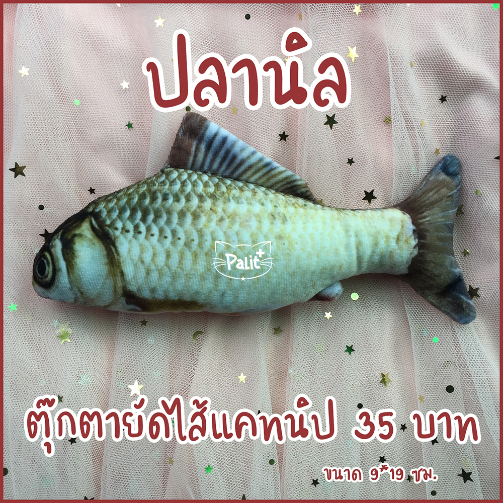 ปลานิลแคทนิป