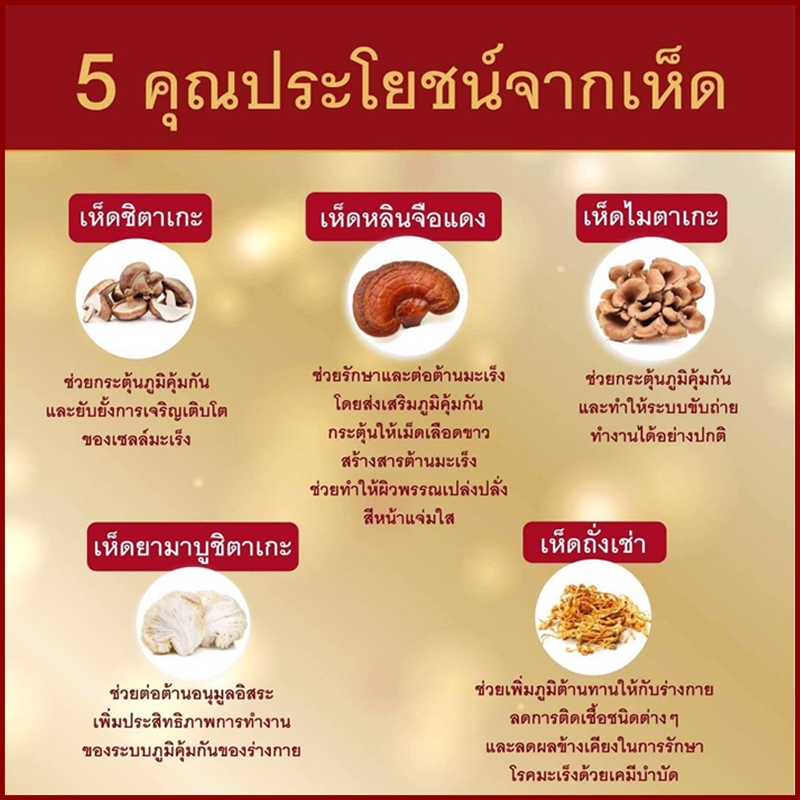 หลินจือซัน Lingzhi Sun (3 กล่อง180 แคปซูล) ผลิตภัณฑ์เสริมอาหาร บำรุงร่างกาย เห็ดหลินจือสกัด